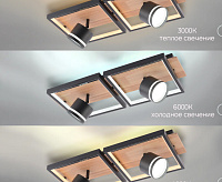 Люстра светодиодная SF8542/4C-BK-WD
