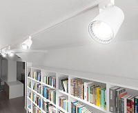 Светильник трековый 20W 4000K 35 градусов черный AL100