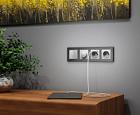 Розетка с заземлением, шторками и USBх2 (серебряный) WL06-SKGS-USBx2-IP20