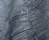 Обои Rash 973747