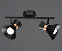 Спот Arte Lamp Baltimore A1406AP-2BK