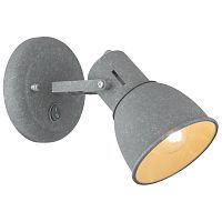 Спот Arte Lamp JOVI A1677AP-1GY