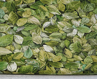 Обои Elysium 18207 E Шелест 