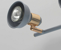 Спот Хоф 552020202