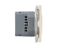 Эмили Розетка 1-местная +USB + Type C, кашемир, RST16-5119-08