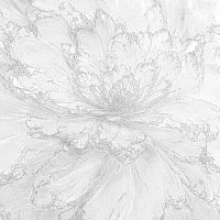 Обои Accento Шарм 620108