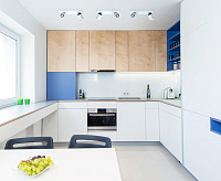 Спот Астор 545020502