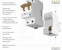 Дифференциальный автомат 1P+N 16A 30mA 6kA C A W922P166 Werkel