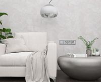 Веркель Рамка на 5 поста (алюминий) W0051706