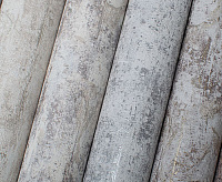 Обои Rocky  Victoria Stenova 989586 (6)