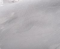 Обои Vika  Victoria Stenova 989247 (6) сн/пр