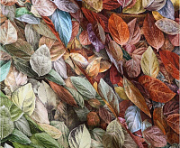 Обои Elysium 18208 E Шелест  