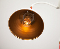 Люстра 70043/6 белый