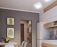 Накладной светильник DLS 20W S-225-CW-SHITE/WHITE-220-IP44