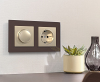 Веркель Розетка 1-ая с/з (шампань) W1171011