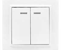 Выключатель 2-клавишный с индикатором 10А EKF ERV10-123-10