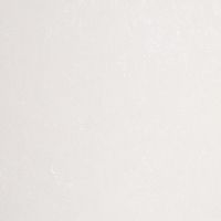 HC71996-12 Обои Home Color Pions (8) ВВ ГТ ФО 1,06*10м