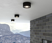 Светильник уличный 35141/H Light 12W 4000K IP65 черный