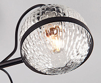 Люстра 70081/5 черный сн/пр