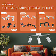 Декоративные настенно-потолочные светильники Jazzway