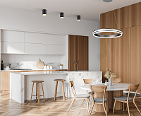 Люстра светодиодная AL5888 60W max 4200Lm 4000K&nbsp;&nbsp;SHINNING RING серебро сн/пр