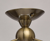 Люстра Оливия 306013303