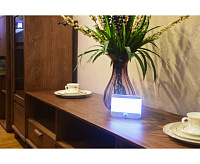 Светодиодный светильник автоном бесконтакт настенный 0,8 Вт серый CL-W01G