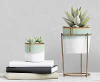 287257 Обои Ateliero Tempo (6)