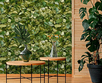 Обои Elysium 18207 E Шелест 