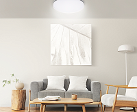 Накладной светильник PPB LUNA 60W 4000K D480*75 IP20 JAZZway