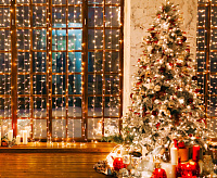 Гирлянда бытовая электрическая занавес/белый 200-001