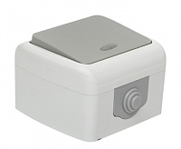 Мурманск Выключатель 1 -клавишный с индикатором 10А IP54 серый EKF