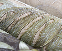 Обои 70290-17 Палитра Амазония