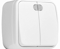 Выключатель 2-клавишный 10А с индикатором EKF EGV10-123-10 сн/пр