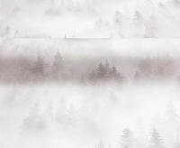 HC71960-21 Обои Home Color My Forest (8) ВВ ГТ ФО 1,06*10м