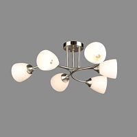 Люстра  6772/6 SN