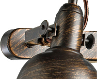 Спот Arte Lamp Martin A5213AP-2BR