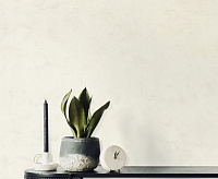 7200-00 Обои Eurodecor Kawa