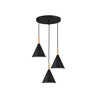 Подвесной светильник SLE1255-423-03 черный