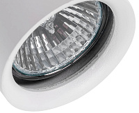 Спот Астор 545020401 сн/пр