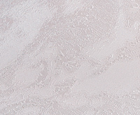 11217-04 Обои Артекс Дивина