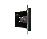 Катрин Розетка USB+type C 2-ая 250B 3A max 20w черный GLS10-7116-05