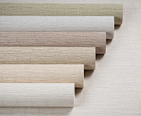 TC72457-14 Обои 10 ВВ ГТ ФО Палитра Trend Nature