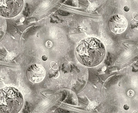 723577-10 Обои Semre Космос