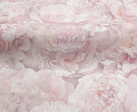 HC71995-51 Обои Home Color Pions (8) ВВ ГТ ФО 1,06*10м сн/пр