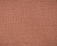 TC72460-58 Обои 10 ВВ ГТ ФО Палитра Trend Nature