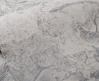 Обои Leto  Victoria Stenova 989733 сн/пр