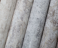 Обои Rocky  Victoria Stenova 989583 (6) сн/пр