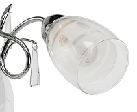 Люстра Нежность 356012205/1