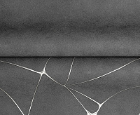 287249 Обои Ateliero Tempo (6)